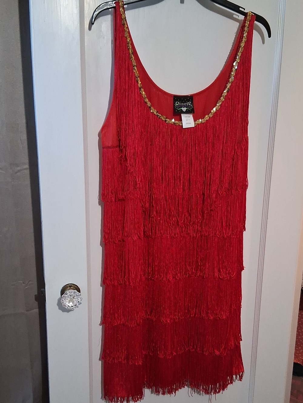 Flapper Dress Costume